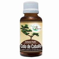 EXTRACTO FLUIDO (COLA DE CABALLO) - Haga un click en la imagen para cerrar